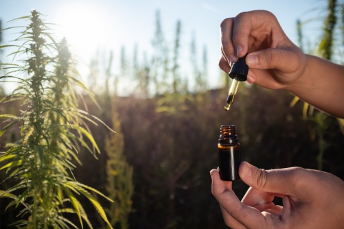 Les erreurs courantes à éviter lors de l’achat de CBD